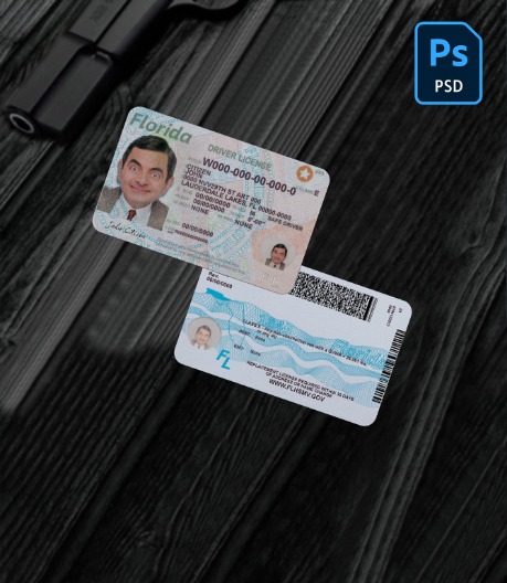 USA Florida driving license 2018-present PSD